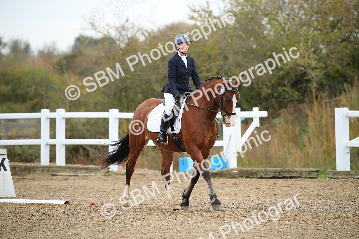 SBM_000318 - Intro 1