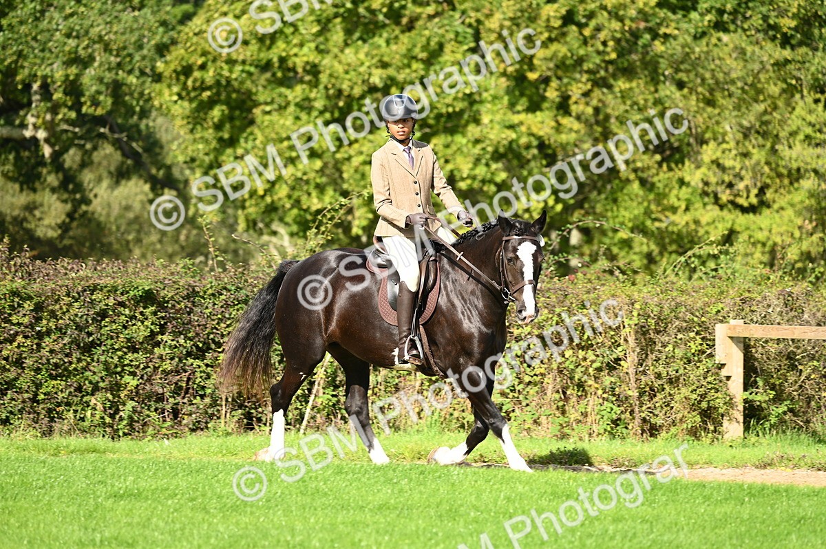 SBM_01922 - S2 - TSR Ridden Horse Showing