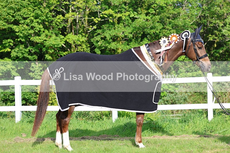 3E7A0255 - Verity Perry