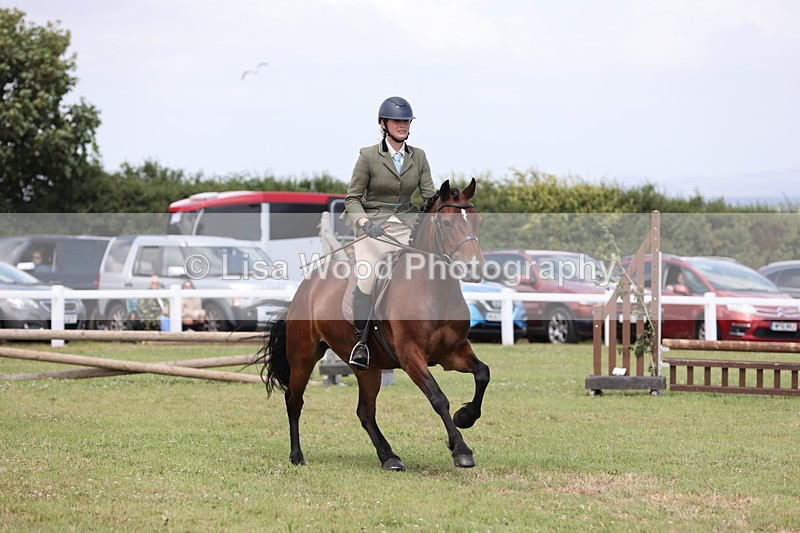 JPP_2038 - Class 19: Working Hunter 60cm