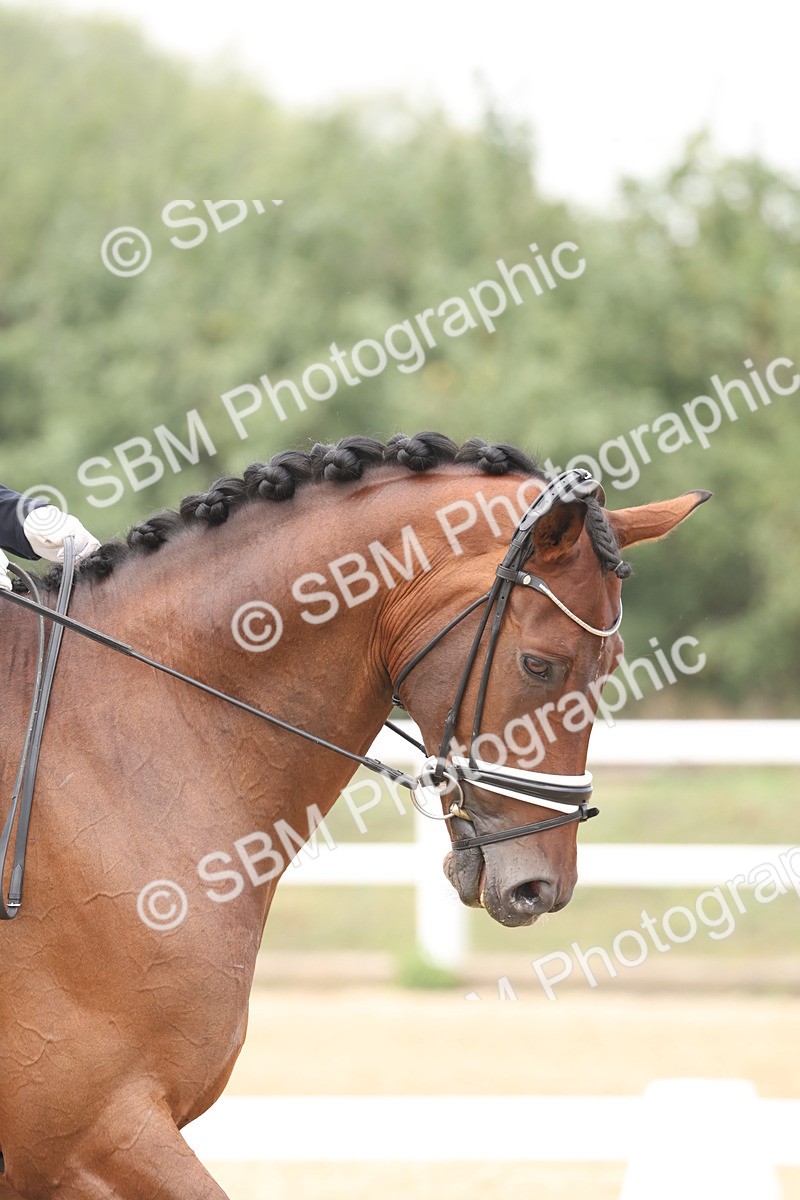 SBM_007457 - Class 9 - FEI INT I - 14.57-15.45