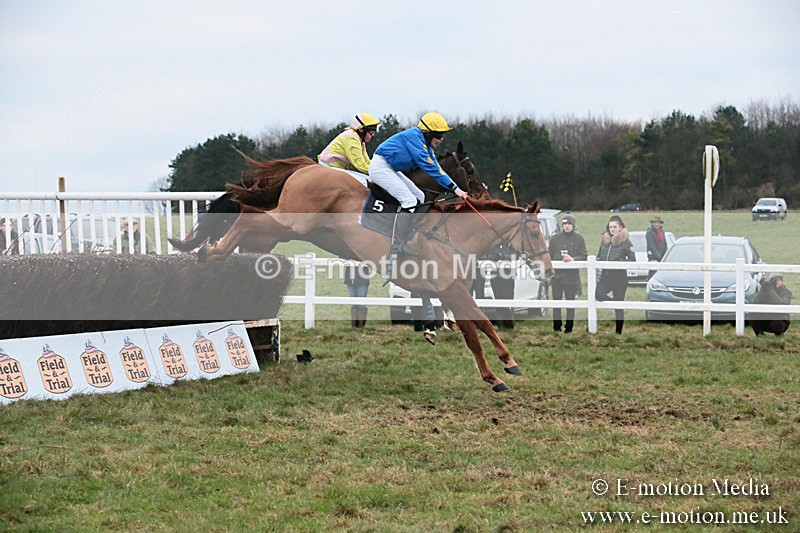 PtP 060119 595 - Larkhill Racing Club - Point-to-Point- 06/01/2019