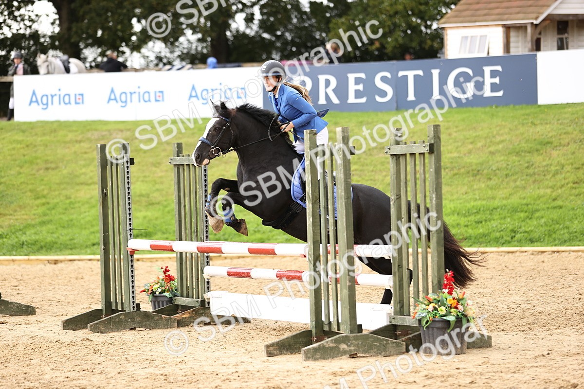 SBM_42003 - J40 Senior Horse & Pony 90cm Supreme Championship