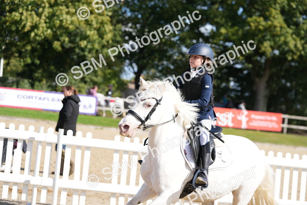 SBM_46540 - J7 - Junior Pony 60cm Championship