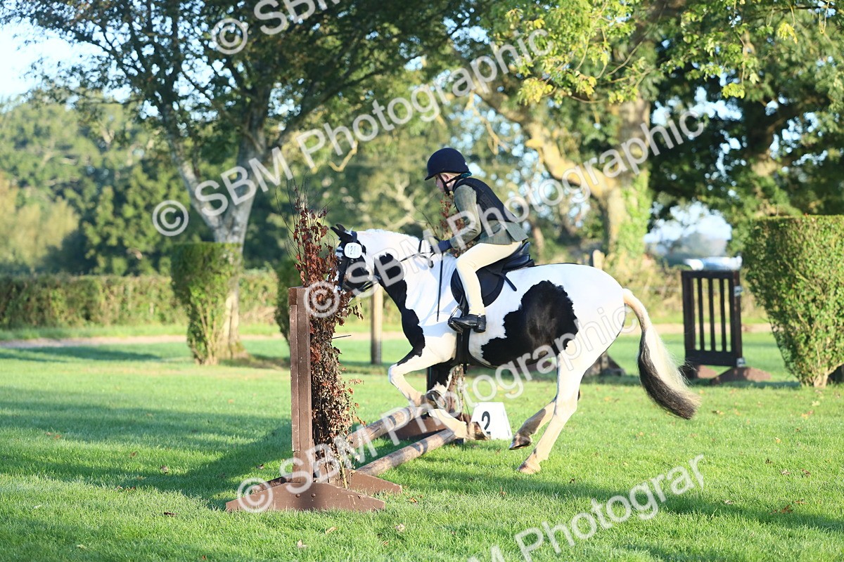 SBM_37139 - S29 - Novice & Newcomers Working Hunter Pony