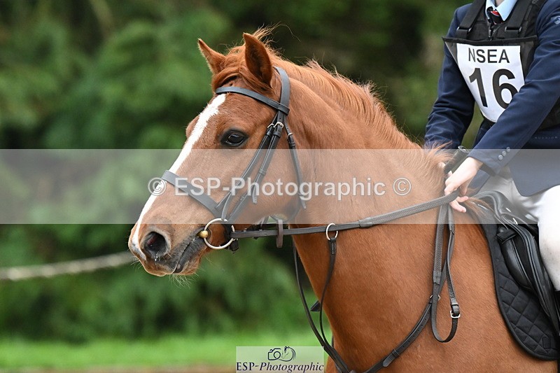 250418A-084447-00107 - NSEA GR 60cm