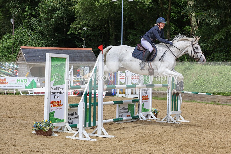 3E7A7535 - Class 9: Senior Foxhunter/1.20 open