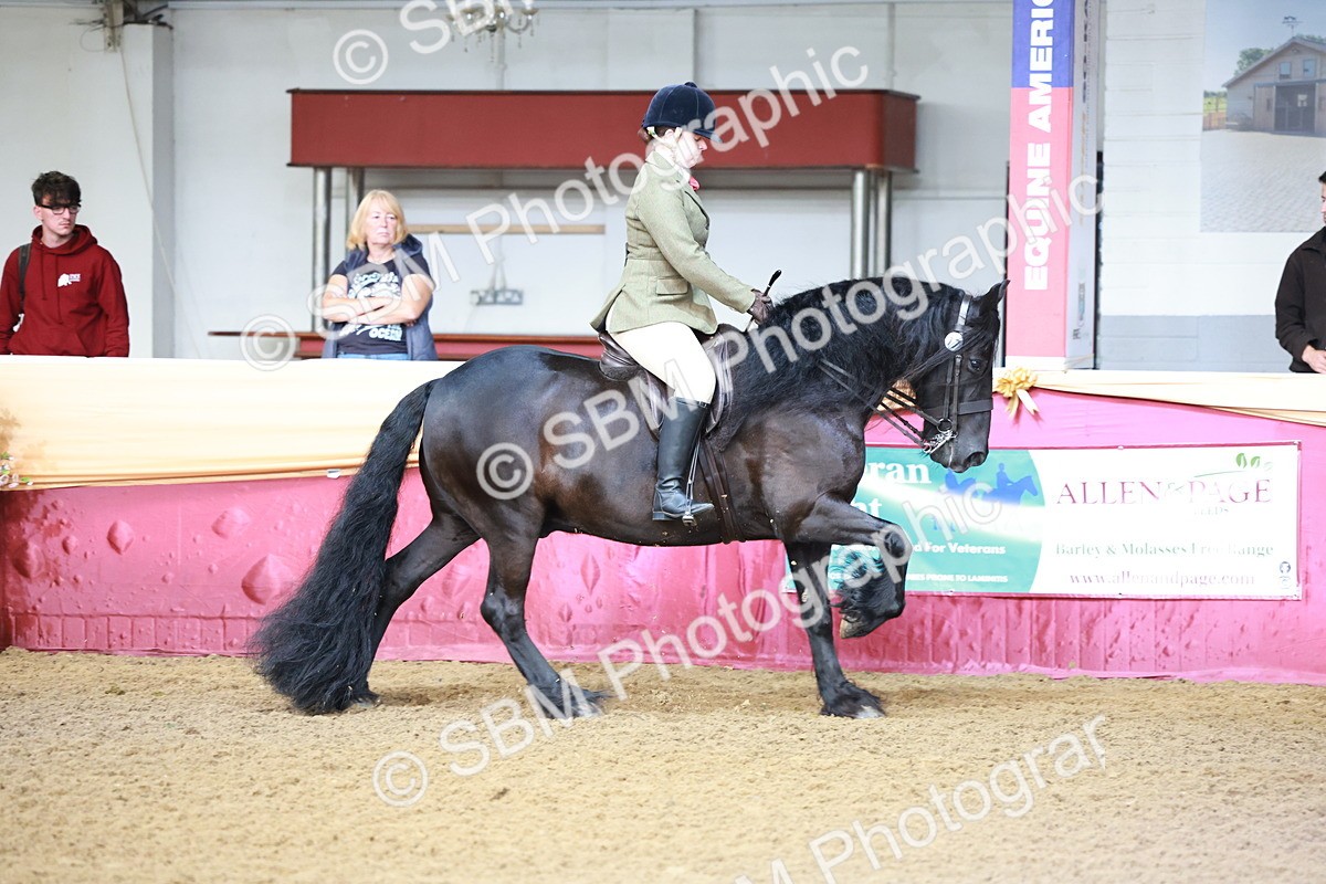 SBM_11873 - Class 102 - Equitation (Best Rider) Adult