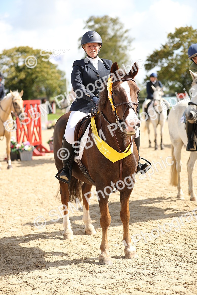 SBM_05791 - J35 - Veteran Rider 60cm