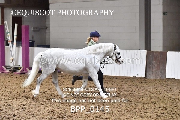 BPP_0145 - RING 1