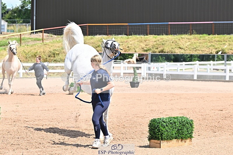 240718A-105315-01764 - Trot Up 1pm to 2pm