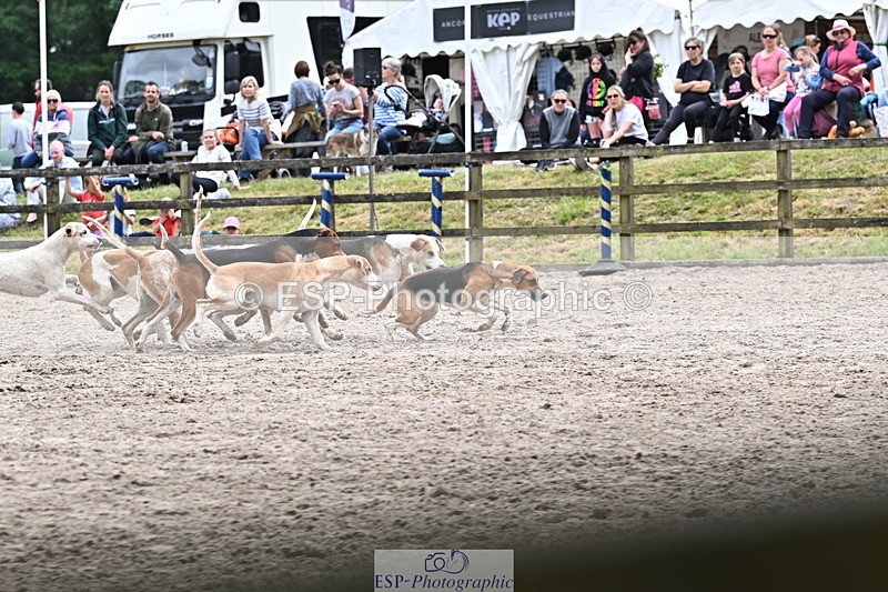 250524A-152316-12713 - East Devon Hounds