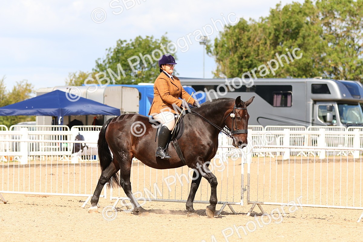 SBM_13439 - Class 212 - Ridden Hunter  - Large