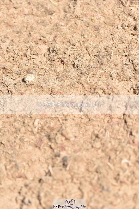 230811A-130304-05042 - Cls 21 Snr 1.20m Open