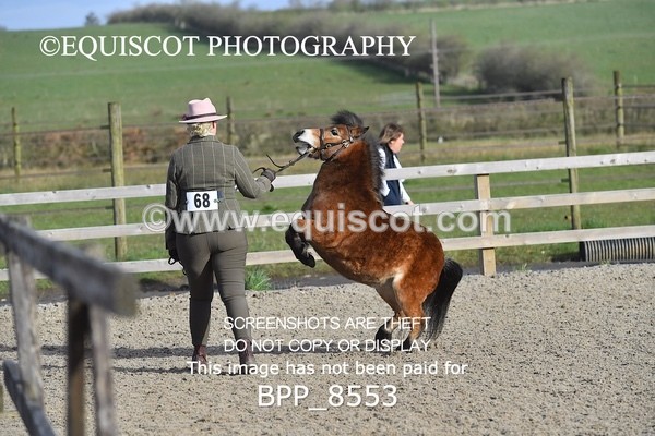 BPP_8553 - RING 2 - M&M