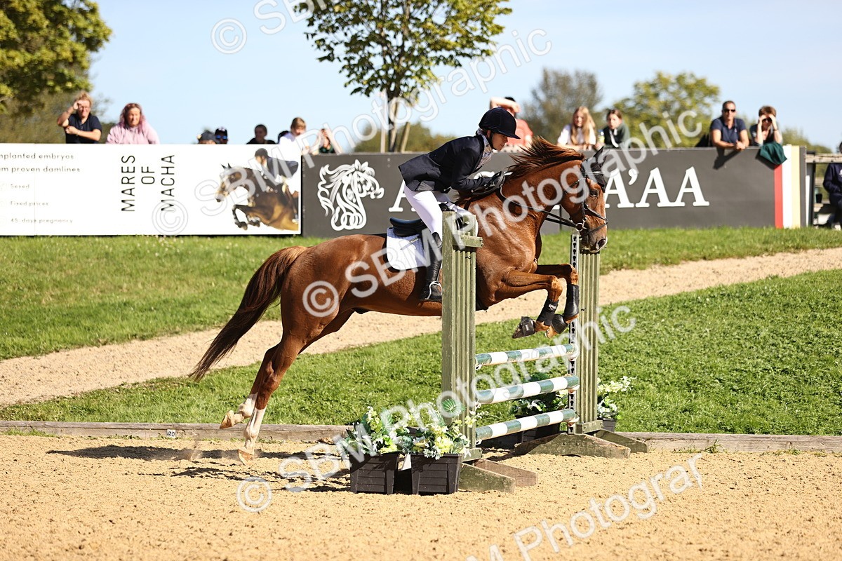 SBM_38300 - J39 - Senior 85cm Championship
