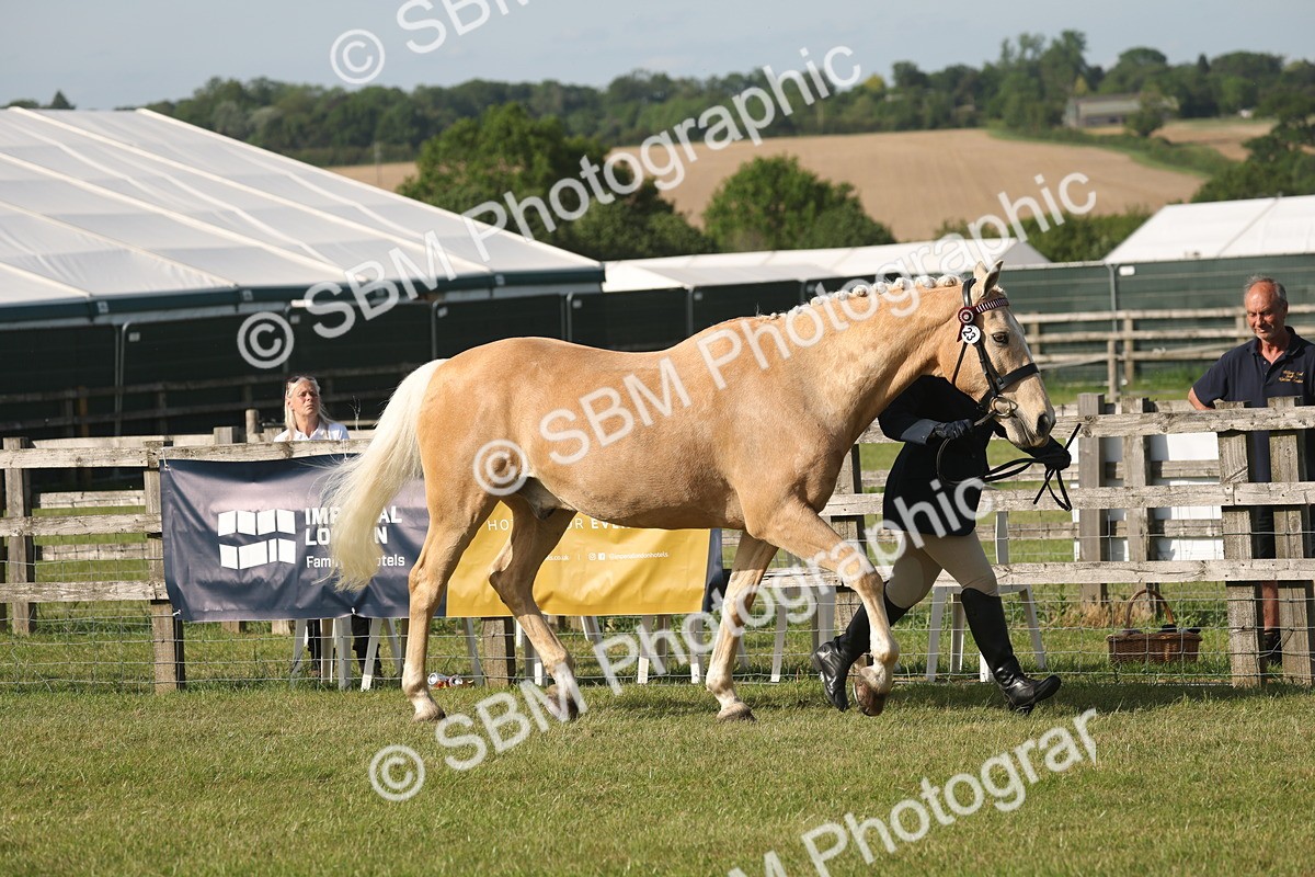 SBM_10460 - Class 33-38 - SSADL RIHS Qualifiers