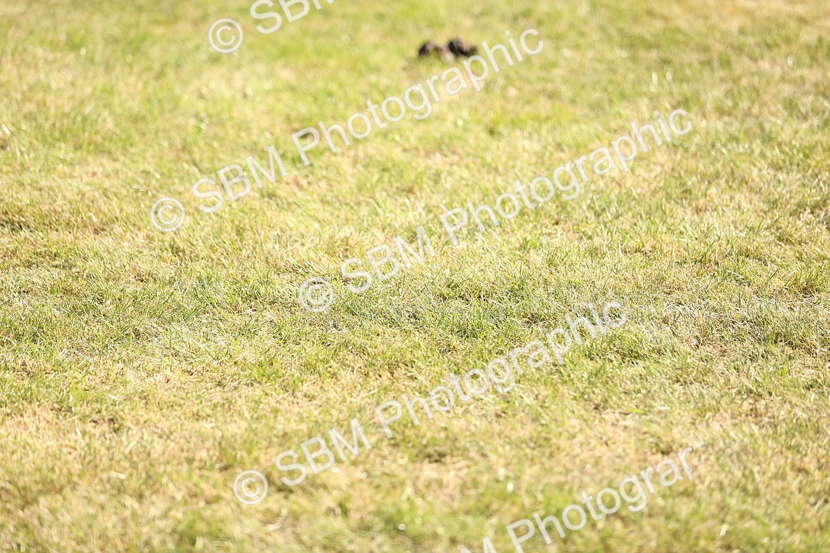 SBM_18734 - Class 84-86 - RIHS BSHA Cobs