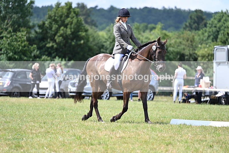 WJ7_4858 - Time 11:22 to 11:51