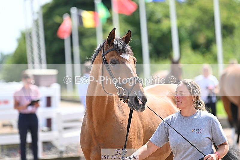 240717A-150335-02495 - Trot Up 3pm to 4pm
