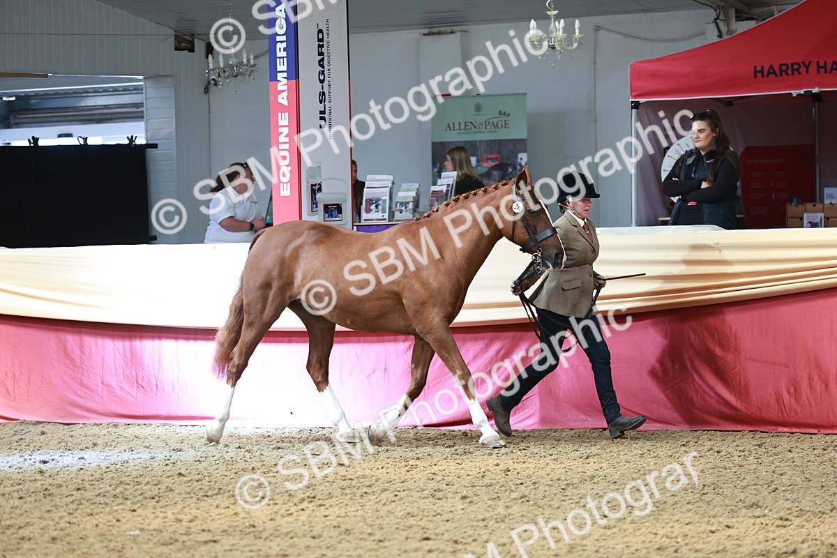 SBM_04741 - Class 7R - Regional IH Diamond