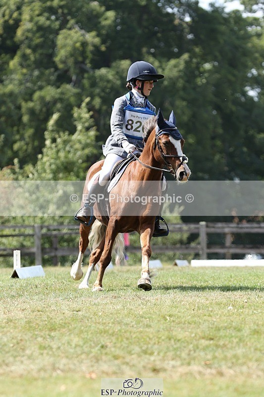 250823A-134302-31354 - Arena D