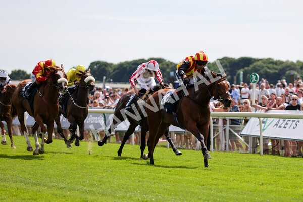 yr08072022r2-15 - Race 2 2.40pm William Hill Summer Stakes
