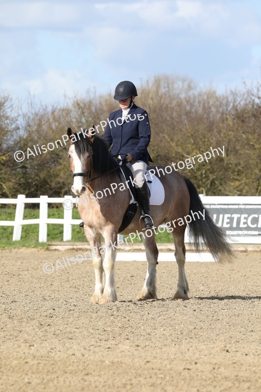 20260314-4985 - CT6 - Elementary 1