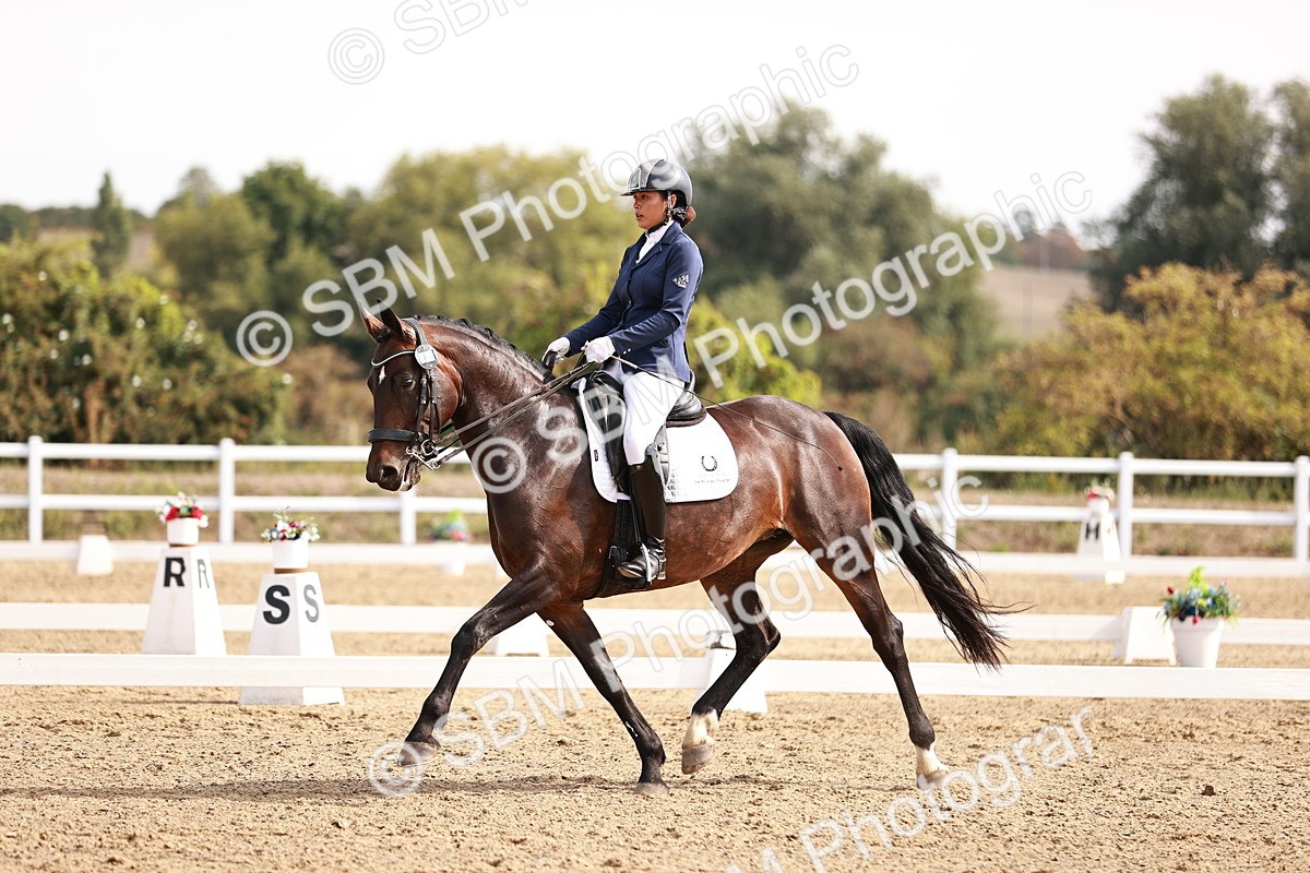 SBM_017567 - Class 11 - Advanced Medium 6