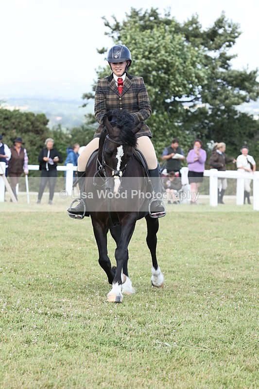 JPP_2363 - Class 19: Working Hunter 60cm