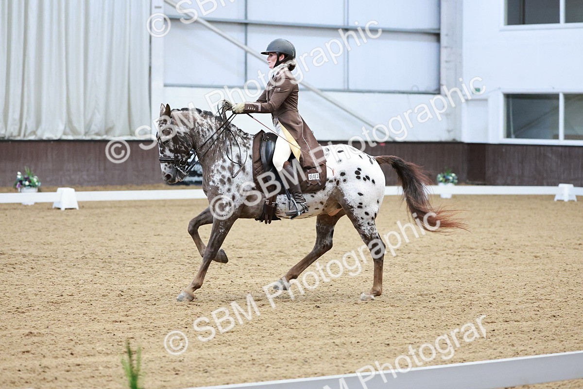 SBM_016563 - Class 5 - FEI INT II - 17.24-18.20