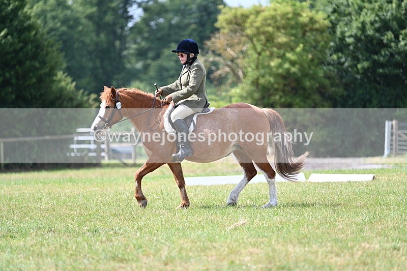 WJ7_3371 - Time 10:28 to 10:42