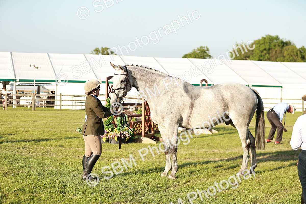SBM_20546 - Class 117-119 - Sport Horse Working Hunter