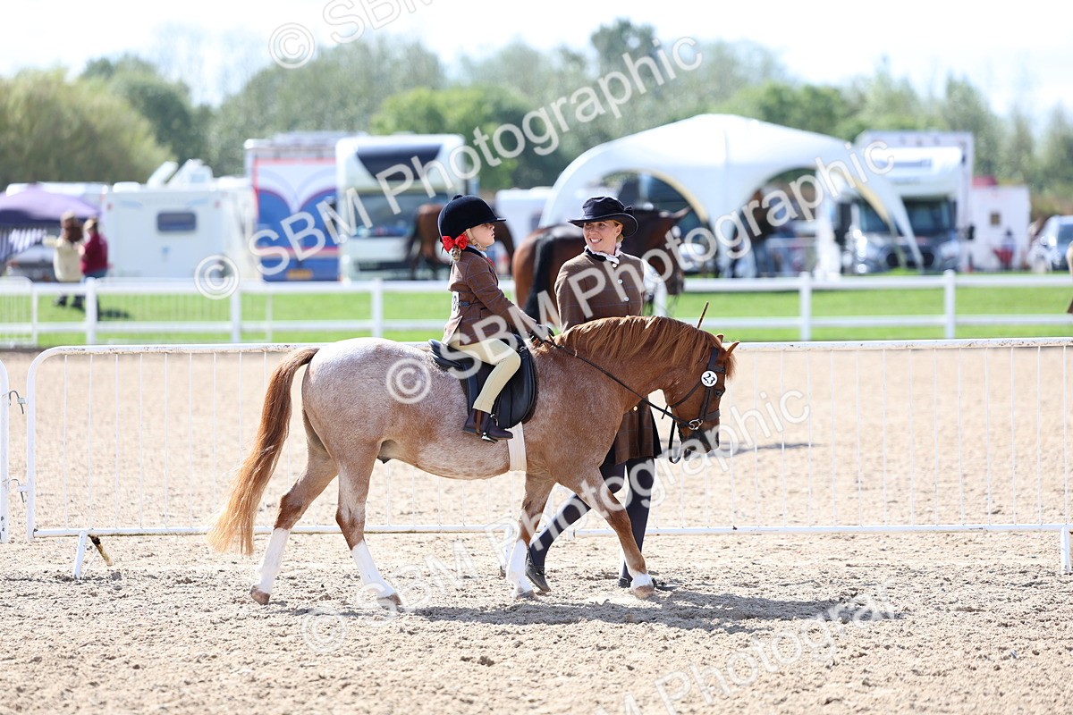 SBM_13007 - Class 309 - Lead Rein Pony