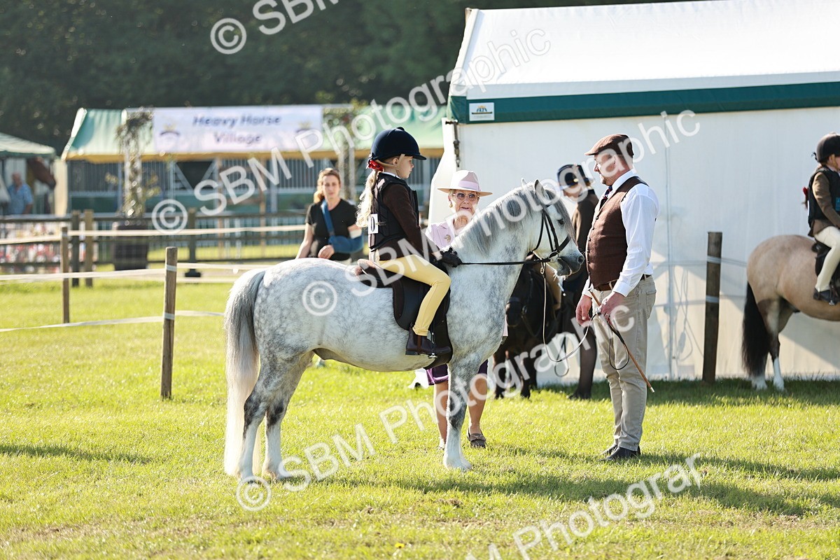 SBM_11124 - Class 106-107 - BSPS LIHS Working Sports Pony