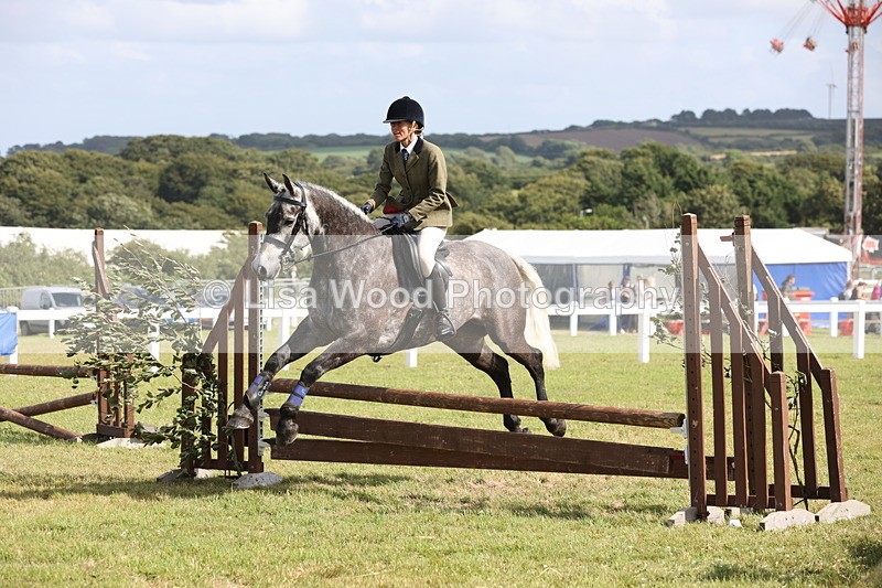 JPP_2605 - Class 20: Working Hunter 70cm