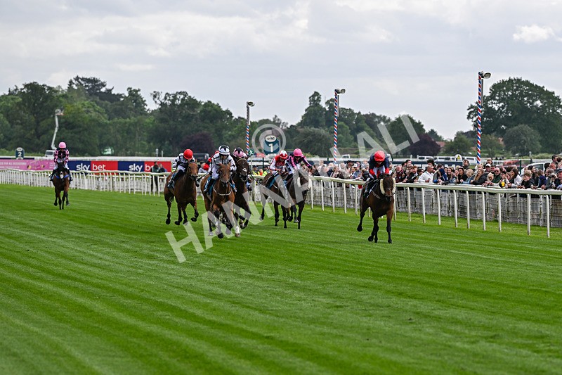 130626-Race 1-Dunkeld Dreamer-0505 - Race 1 13.50pm Queen Mother's Cup Handicap