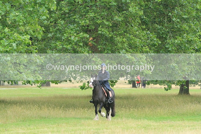 IMF_1427 - Time at Castle Jump 09:18 to 10:15