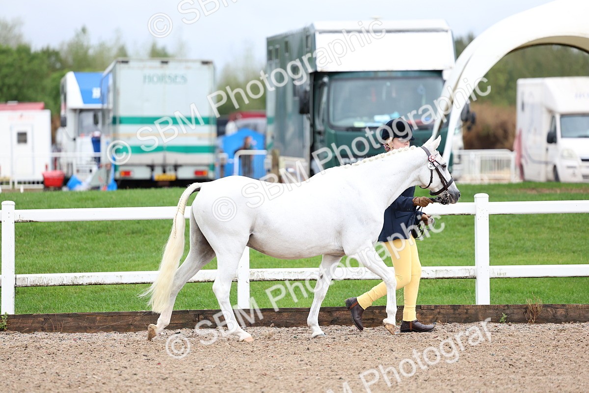 SBM_00217 - Class 13 - Young Handler