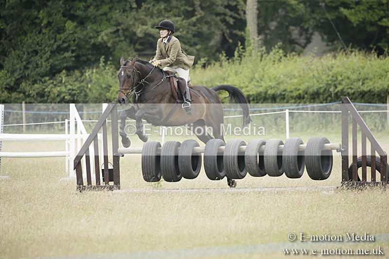 B230619-0866 - Bourne Valley Riding Club Summer Show 23/06/19