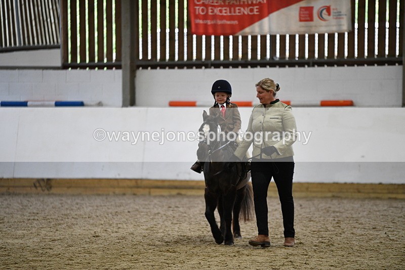 WJ5_6618 - Class 10 Childs Pony