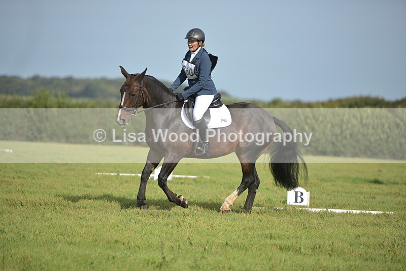 RAY_7809 - Class 2B: Trekenning Open: Dressage