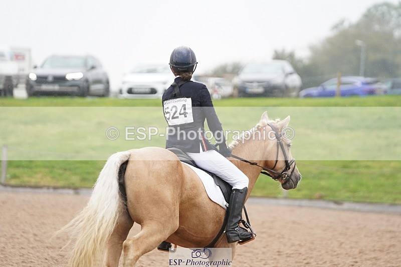 240901A-150810-10265 - 524-Kate.Hicks-SWALLOWCROFT.STARDUST