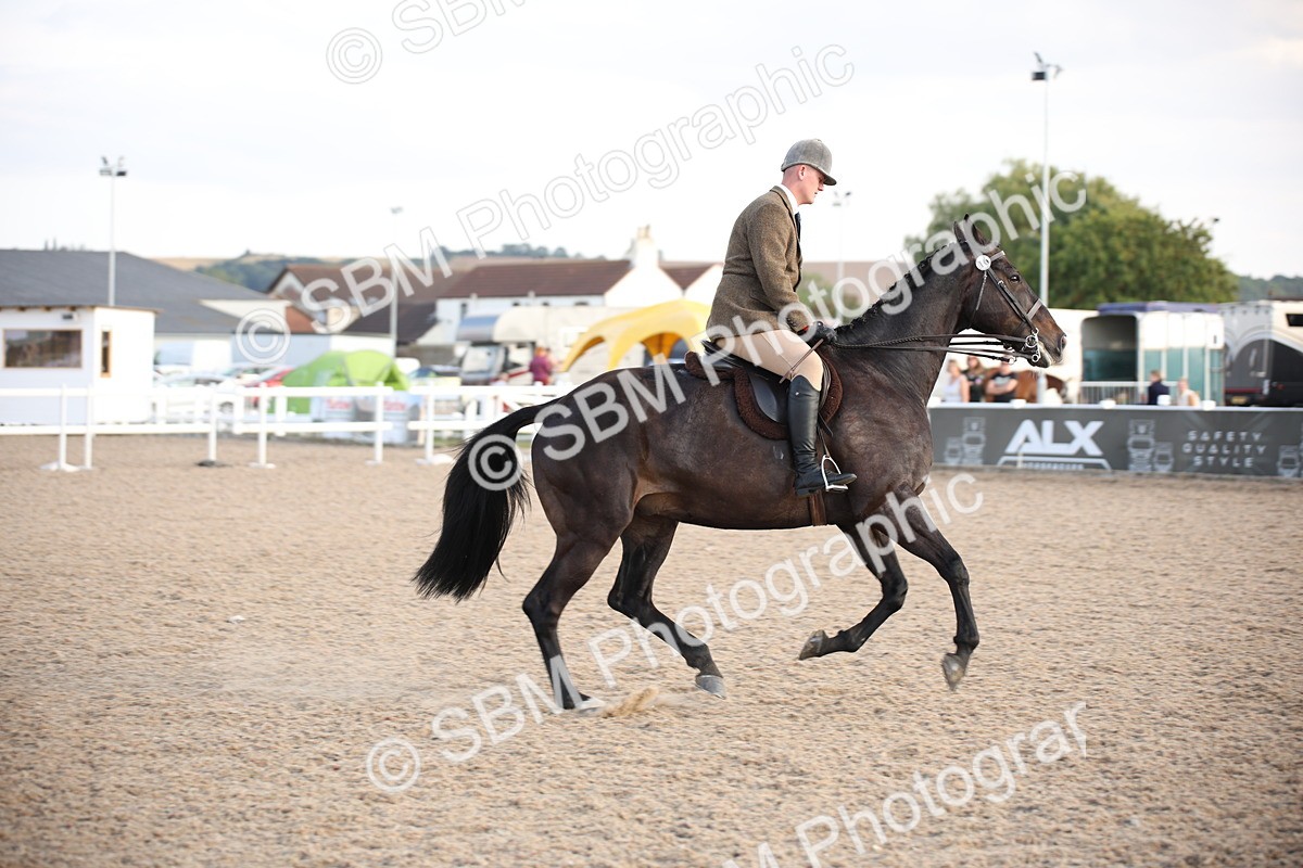 SBM_08851 - Class 12R Regional Ridden Pre-Vet
