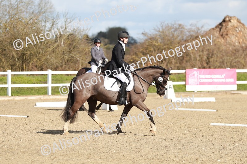 20260314-4348 - DR4 - Prelim 2