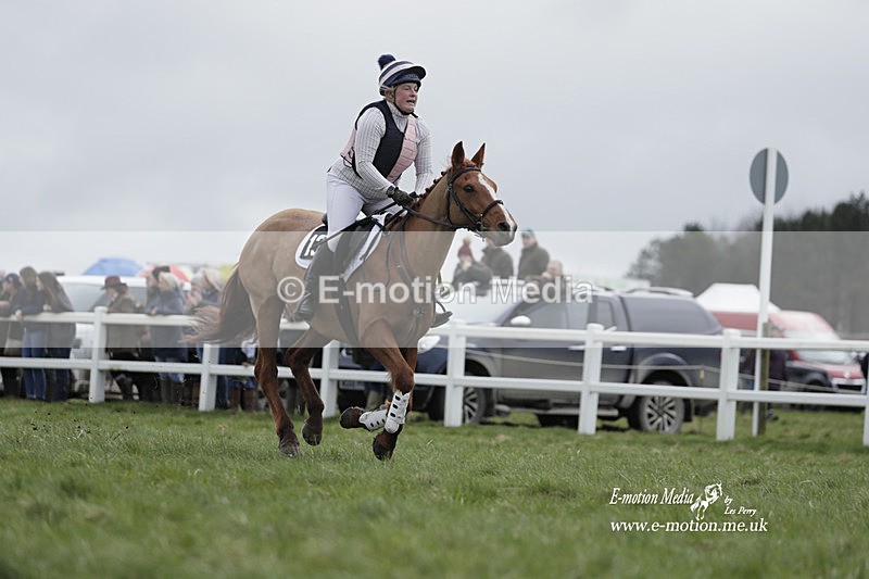 PtP 260323 0300 - New Forest Hounds Point-to-Point Larkhill 26/03/23