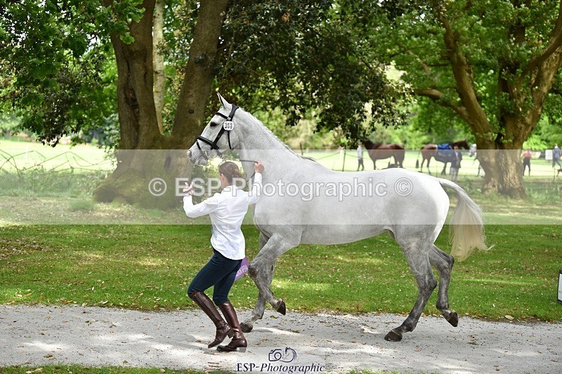 240522-150156-00050 - 368-ROCHDAN_FLEX-Emily_Philp