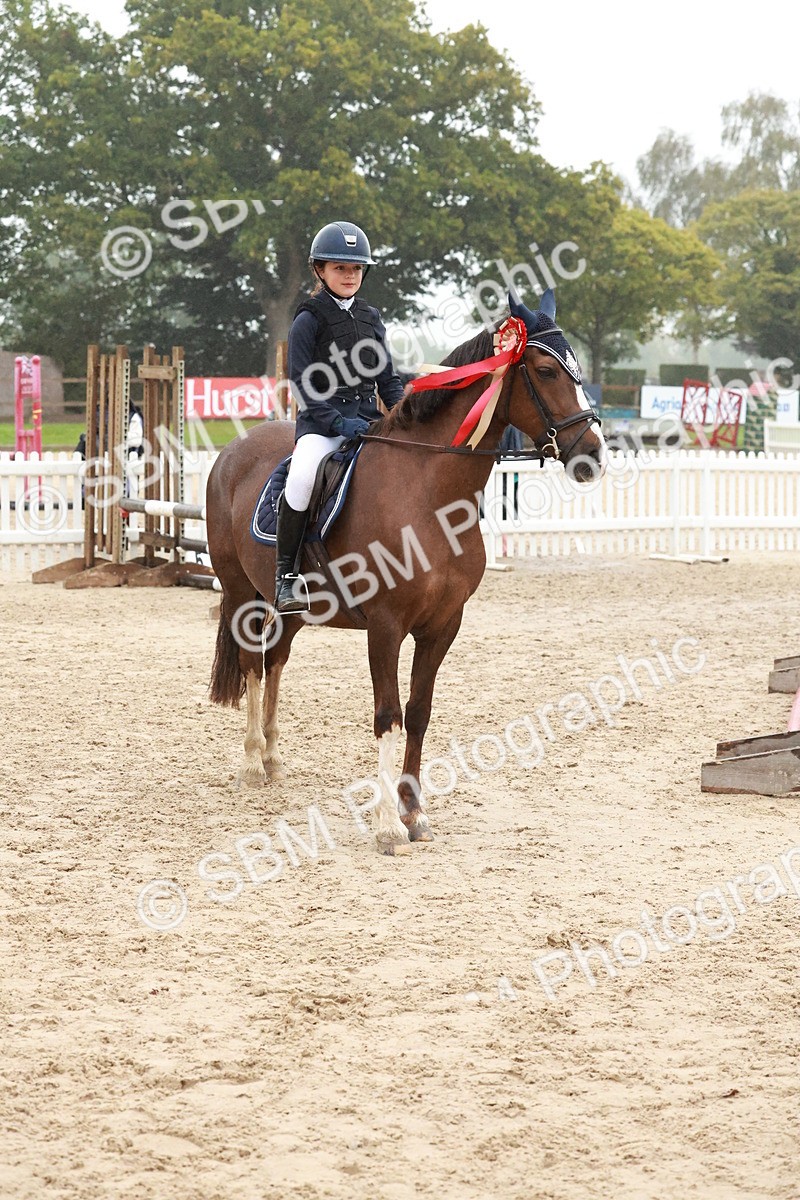 SBM_73582 - Supreme Championship Junior Pony 60cm & 65cm