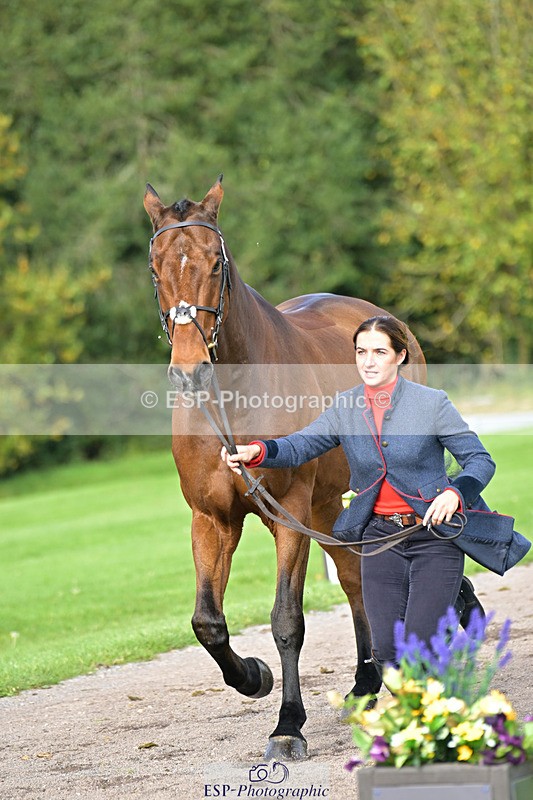 241023-132700-00298 - 053-Lois.Teal-Z7.CATASTROPHE