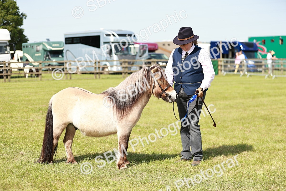 SBM_01792 - Class 14-23 - Mountain & Moorland In Hand Non Welsh